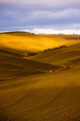 Fototapeta na wymiar Colorful Tuscany in Italy - the typical landscape and rural fields from above - travel photography