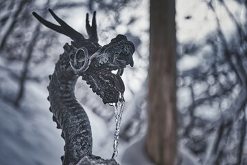 手水舎の龍 / Purification fountain dragon