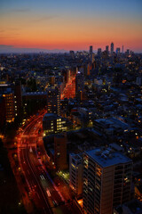 Fototapeta na wymiar An evening view of Tokyo