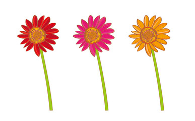 ガーベラ.デイジー.花