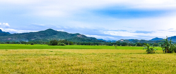 Scenic view of the countryside