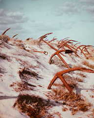 A closeup of an anchorage cemetery