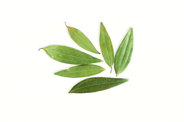 dried cinnamon leaves or bay leaf in white background with copy space