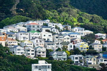 Traditional mid-century and earlier hillside homes make a residential pattern on city hillside. - obrazy, fototapety, plakaty