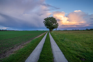 Rainclouds and a rural road near Seehof, Mecklenburg-Western Pomerania, Germany
