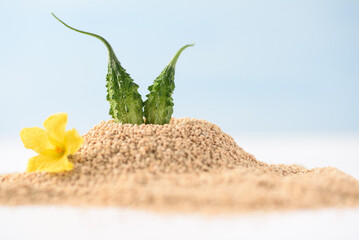Organic bitter gourd and quinoa on  light blue sky background. Tropical summer vacation concept