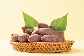 Small purple sweet potatoes from local organic agriculture for sustainability on yellow background.