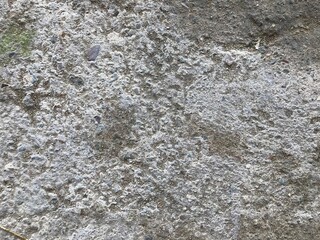 concrete wall texture may used as background . old cement wall texture background, cement surface texture of concrete, gray concrete backdrop wallpaper