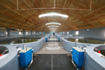 Seawater industrialized aquaculture workshop, North China