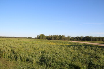 Obraz premium field and sky, Elk Island National Park, Alberta