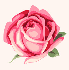 Decorative pink rose isolated on white. Vintage flower icon. Vector illustration	