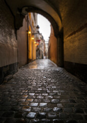 Cobblestones of an old arched alley, Brussels, Belgium
