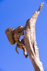 Mesa Verde National Park