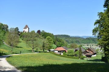 Fototapeta na wymiar Typische Schweizer Landschaft mit Schloss Liebegg, Aarau