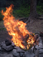 Orange flame of campfire.Siberia. Altay region, Russia