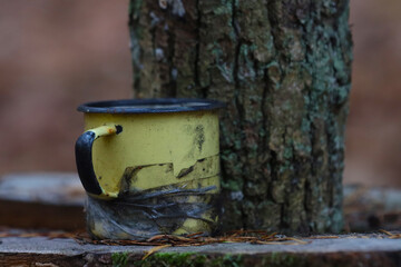A metal mug left while traveling in the forest.