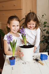 Сute sisters siblings repotting houseplants in a real room interior. Plant care, domestic life, children's leisure activities and hobbies