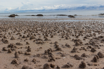 Sand piles made by beach fleas in Hua Hin beach, Thailand.