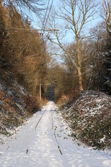 Einsame Bahnschienen im Wald bei Schnee