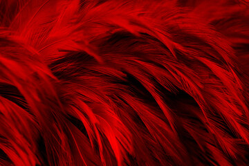 Beautiful Dark Red Feathers Texture Vintage Background	