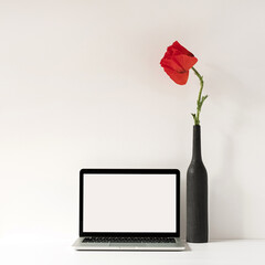 Laptop computer with blank screen on table with elegant poppy flower in bottle against white wall. Aesthetic influencer minimalist styled office workspace interior design template with copy space