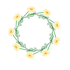 Fototapeta na wymiar wreath of daisies