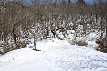【滋賀県】武奈ヶ岳　ワサビ峠