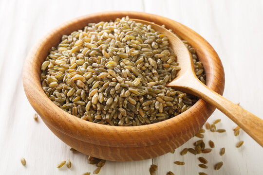 Uncooked, raw freekeh or firik, roasted wheat grain, on wooden plate with wood spoon on white rustic table. Horizontal