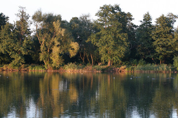 Fototapeta na wymiar Stawy Raszynskie Reserve, Falenty, Poland