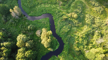 Aerial drone view on green forest and flowing river. Beautiful summer season landscape with green trees. Russia, Moscow region. Camping and hiking outdoors lifestyle stock photography.
