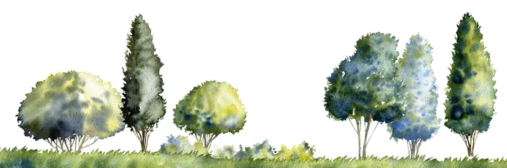 Rolgordijnen watercolor drawing summer landscape with trees silhouettes at white background, natural template, hand drawn illustration © cat_arch_angel