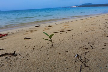 夕暮れの海