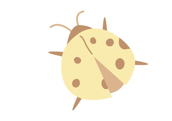 Vector  ladybuin flat hand drawn style isolated on white background. Illustration with cute insects can be used to design cards, presentations, invitations.