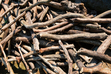 Tronchi di legno