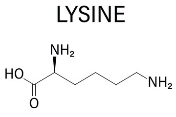 Lysine or l-lysine, Lys, K amino acid molecule. Skeletal formula.