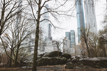 central park in winter
