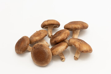 たくさんのしいたけ