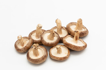 たくさんのしいたけ