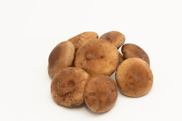 たくさんのしいたけ