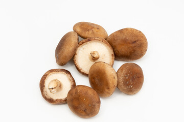 たくさんのしいたけ