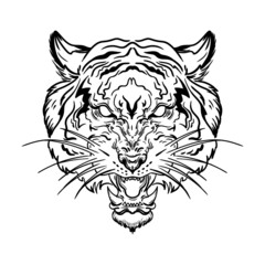 abstraction animal predator tiger line