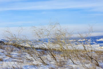 winter landscape olkhon island, lake baikal travel russia
