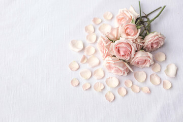 Fototapeta na wymiar Petals Surrounding A Pink Bouquet