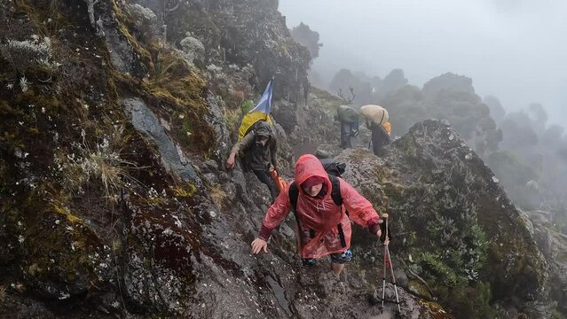 A hiker in a raincoat climbs the dangerous damp rocky stones uphill. Climbing Kilimanjaro, Tanzania, Africa. Rain in the mountains.