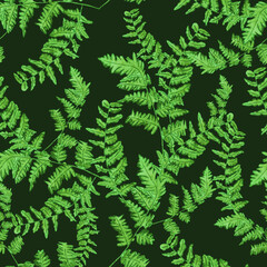 Seamless background: green fern branches  on a green background. Two repeating elements. Watercolor 