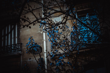 spooky halloween night