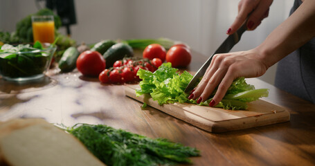 Woman cutting salad leaves, cooking healthy vegetarian meal for dinner. Female hand chopping fresh green lettuce.