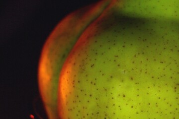 Green pear close-up. Vegetarianism, healthy eating, body, fitness