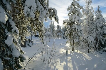Skiing in the Winterresort Sälen in beautiful Dalarna,Sweden.