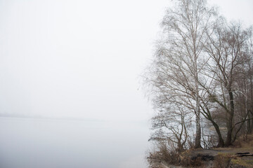 Fog on the lake on a cold gray day in winter.